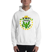 Load image into Gallery viewer, Tru Profit Threadz Logo Custom Hooded Sweatshirt - Image #1