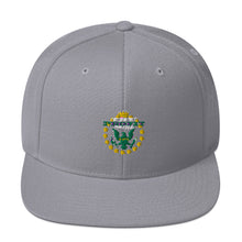Load image into Gallery viewer, Original TPT Logo Snapback Hat