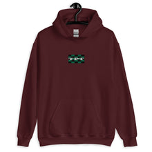 Load image into Gallery viewer, Embroidered TPT Logo Unisex Hoodie