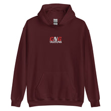 Load image into Gallery viewer, CNG Unisex Hoodie