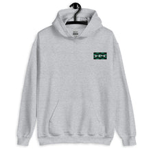 Load image into Gallery viewer, TPT Box Logo Unisex Hoodie