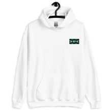 Load image into Gallery viewer, TPT Box Logo Unisex Hoodie